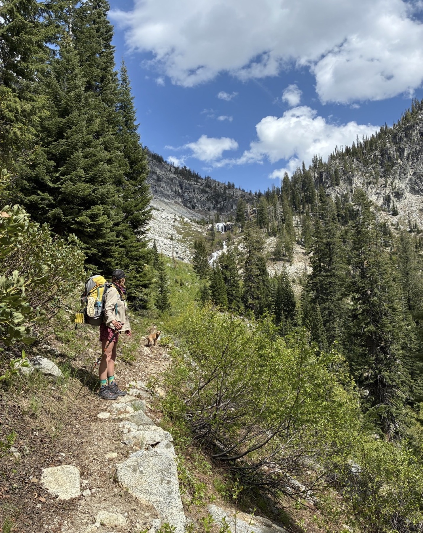 Chasta wearing a backpack on a forested mountain trail