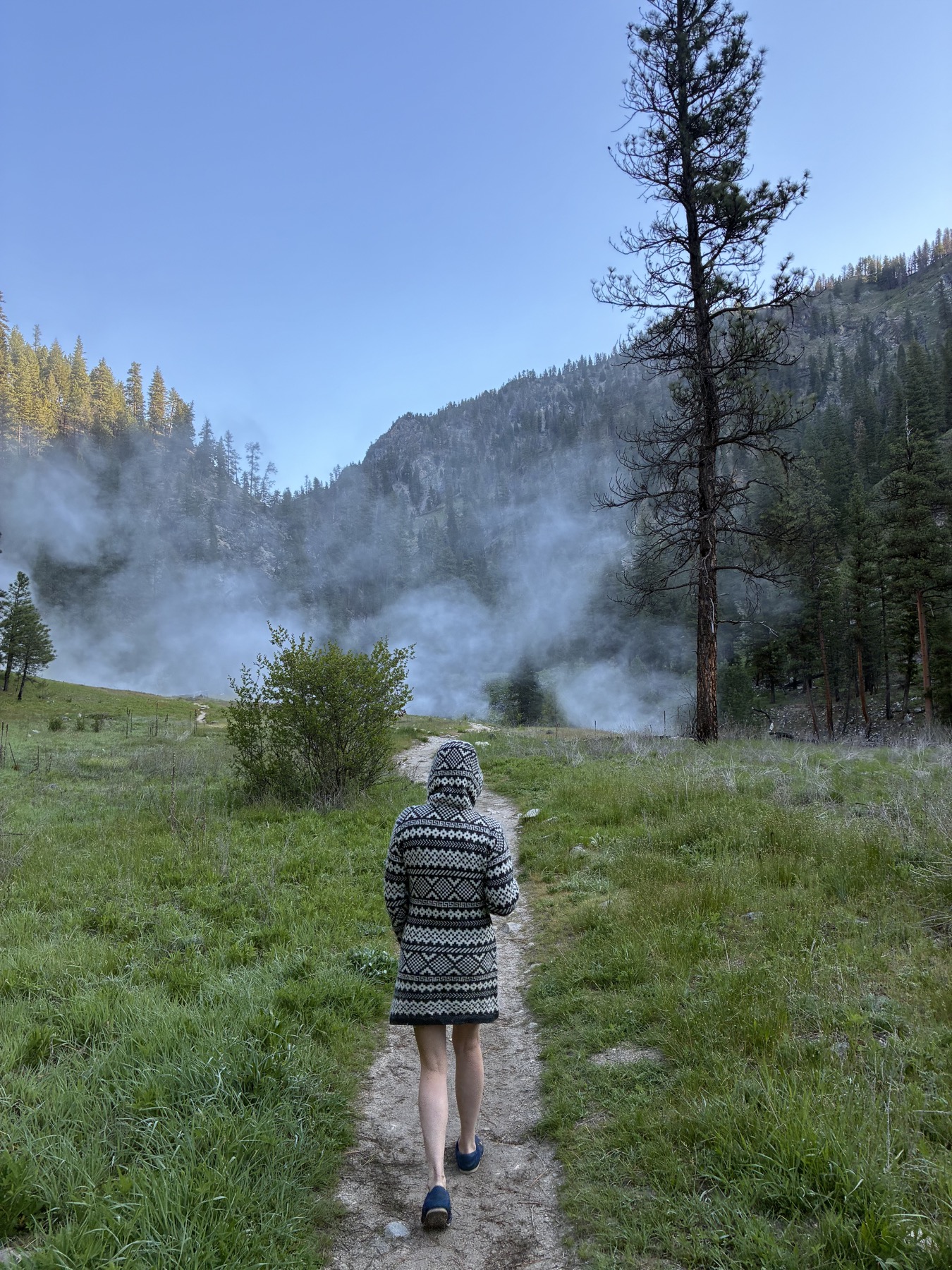 A human walking a misty mountain trail through green grass and trees
